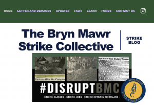 screen capture of bryn mawr strike collective website